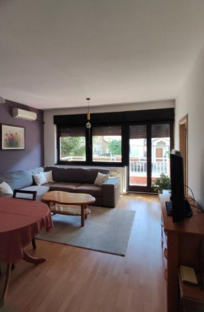 Cozy City Apartment